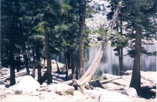 Comment Explorez le roi Espace minérale de Sequoia National Park