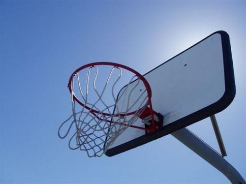 Do it Yourself Basketball Hoops