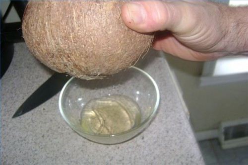 Comment traire une noix de coco