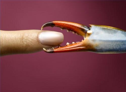 Comment réparer un ongle acrylique en vrac