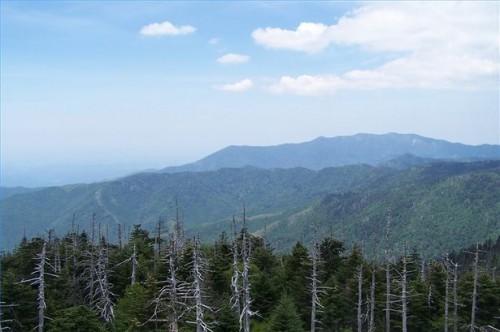 Comment Visitez les Smoky Mountains à peu de frais