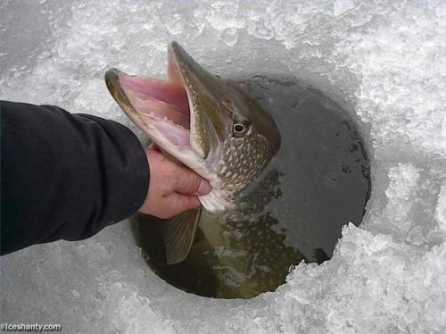 Informations sur la pêche sur glace en Mosquito Lake, Ohio