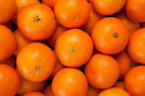 Meilleure façon de stocker mandarines