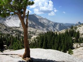 Comment louer Cabins à Yosemite Park