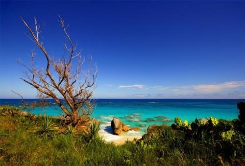 Bermuda Voyage & Tourisme